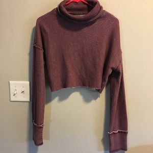 Small Crop Turtlneck